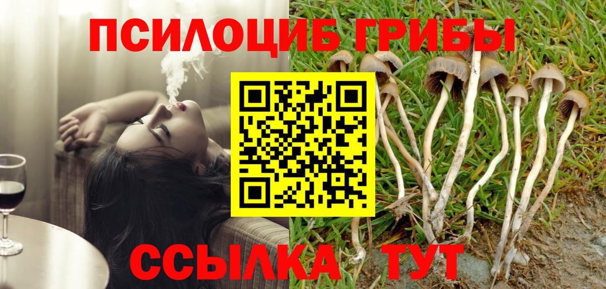 Галлюциногенные грибы Psilocybine cubensis  Вход с VPN  Ирбит 